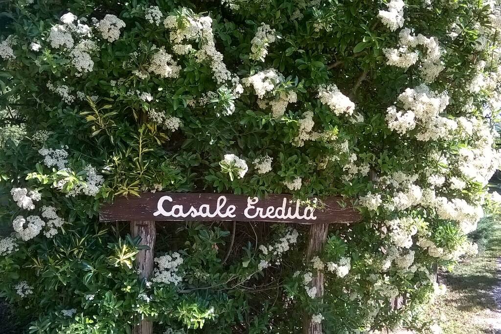 Il cartello all'entrata
The sign