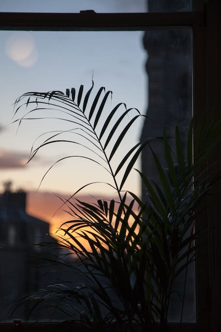 I like house plants, this one is in your room.