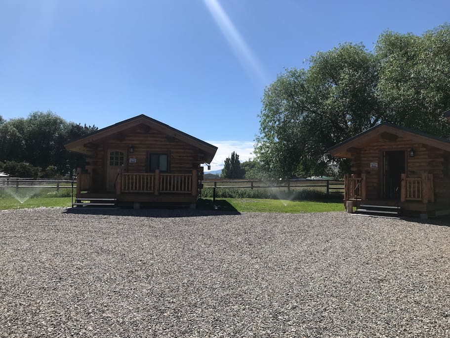 The Ranch House and the Waterhole are looking beautiful with lots of grass around them!!