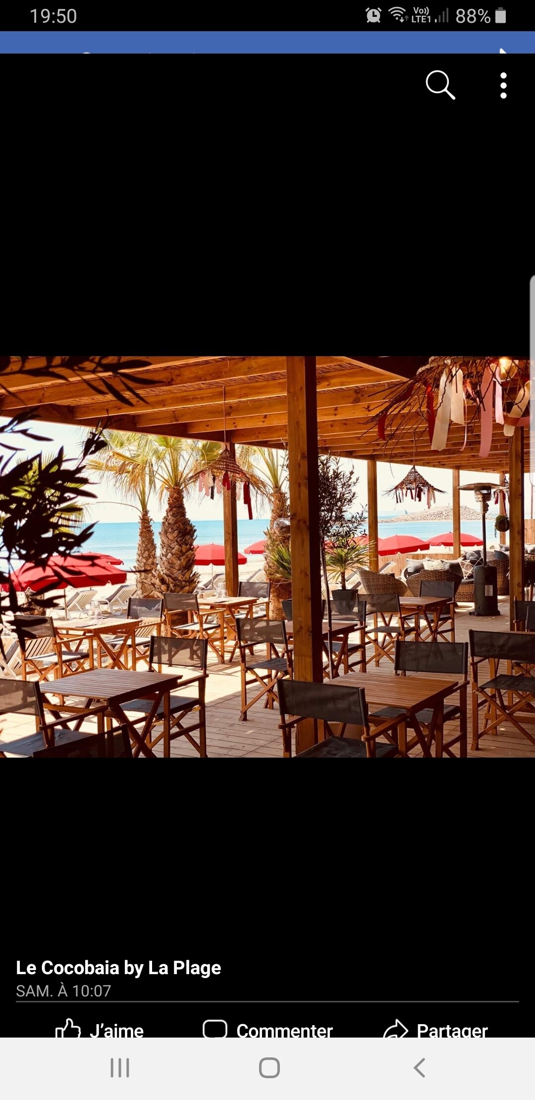 A spacious outdoor dining area is presented under a wooden canopy, featuring numerous wooden chairs arranged around simple tables. The vibrant colors of nearby beach loungers and palm trees create a relaxed atmosphere, with the ocean visible in the background.