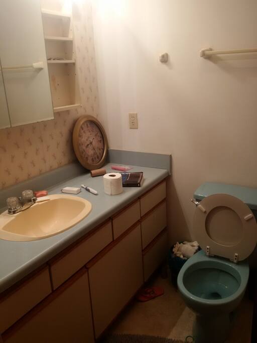 I'll clean it, I swear