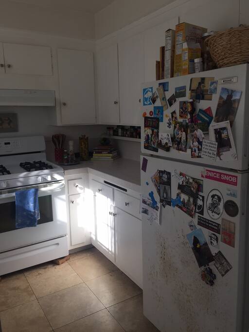 Nutri Bullet, Toaster Oven, Coffee Grinder, French Press, Dishwasher and more!