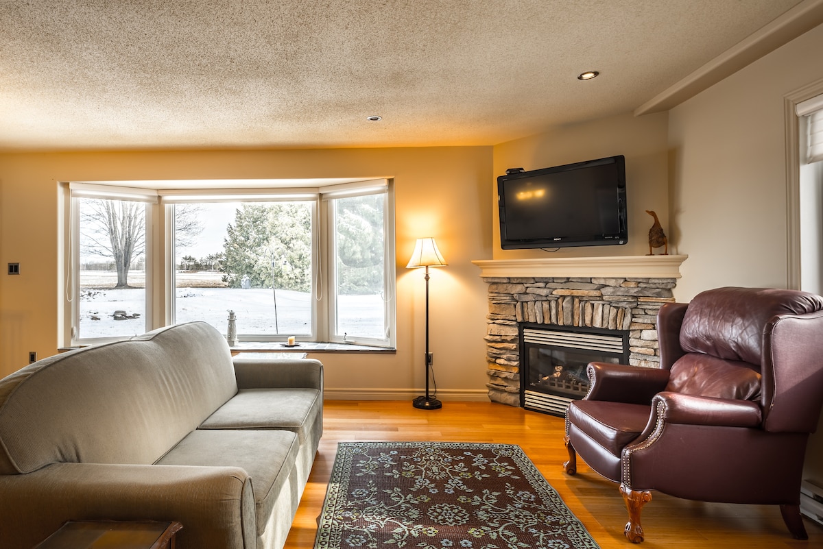 Living room with fireplace