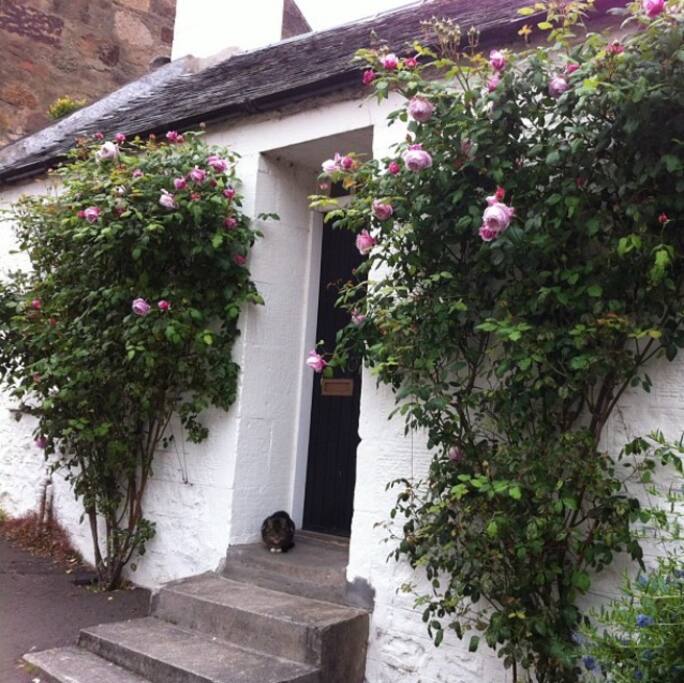 The main door of the upstairs cottage...our hideaway garden flat is accessed to the right hand side through a small gate.
