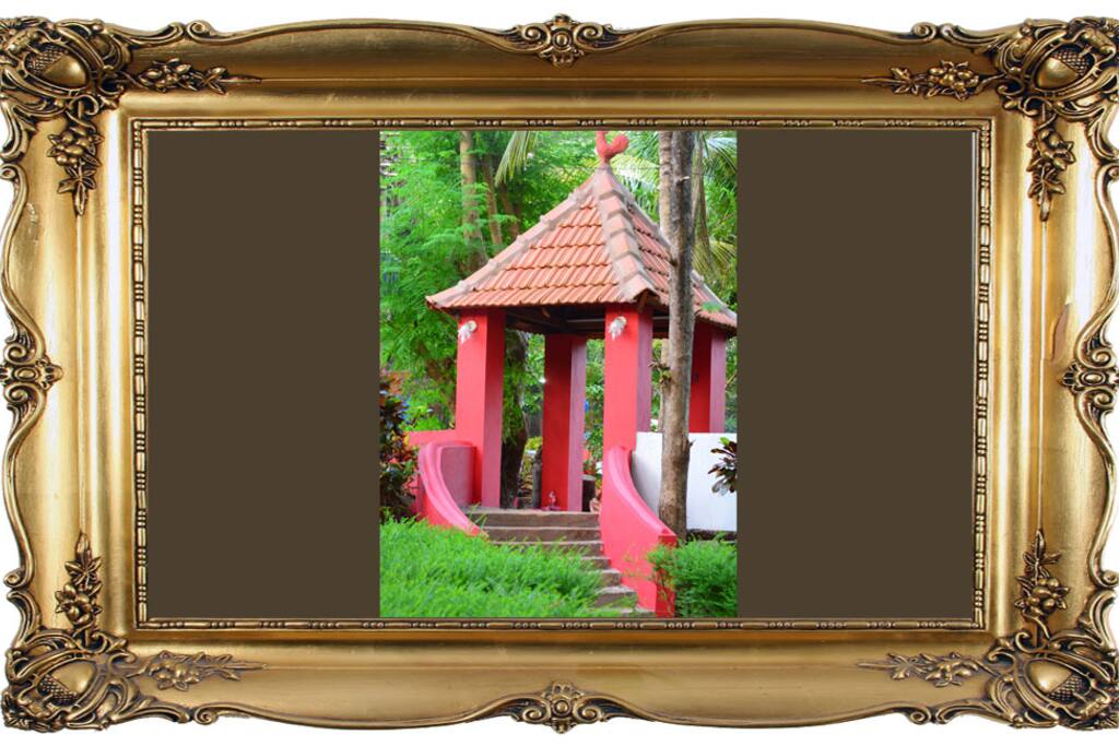 Garden area