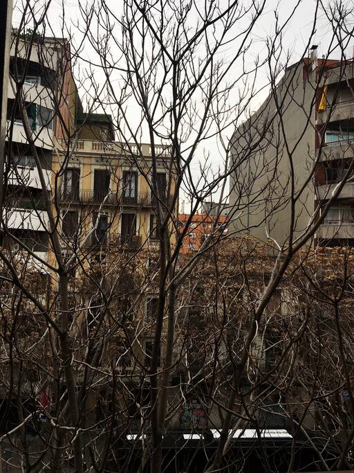 Room with a view