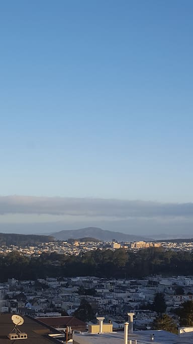 View overlooking Golden Gate Park