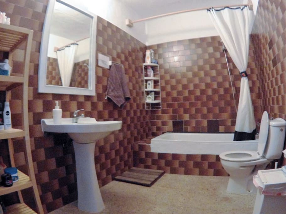 CLEAN AND TIDY TOILET WITH WC AND SHOWER.