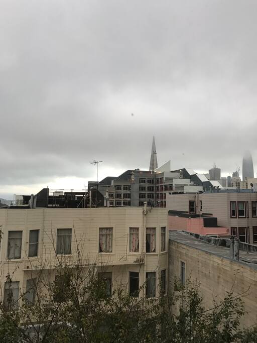 Nob hill gazette singles party