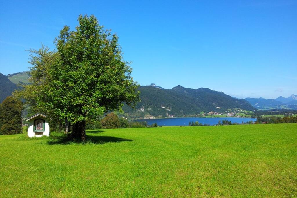 Nahe Umgebung mit Seeblick