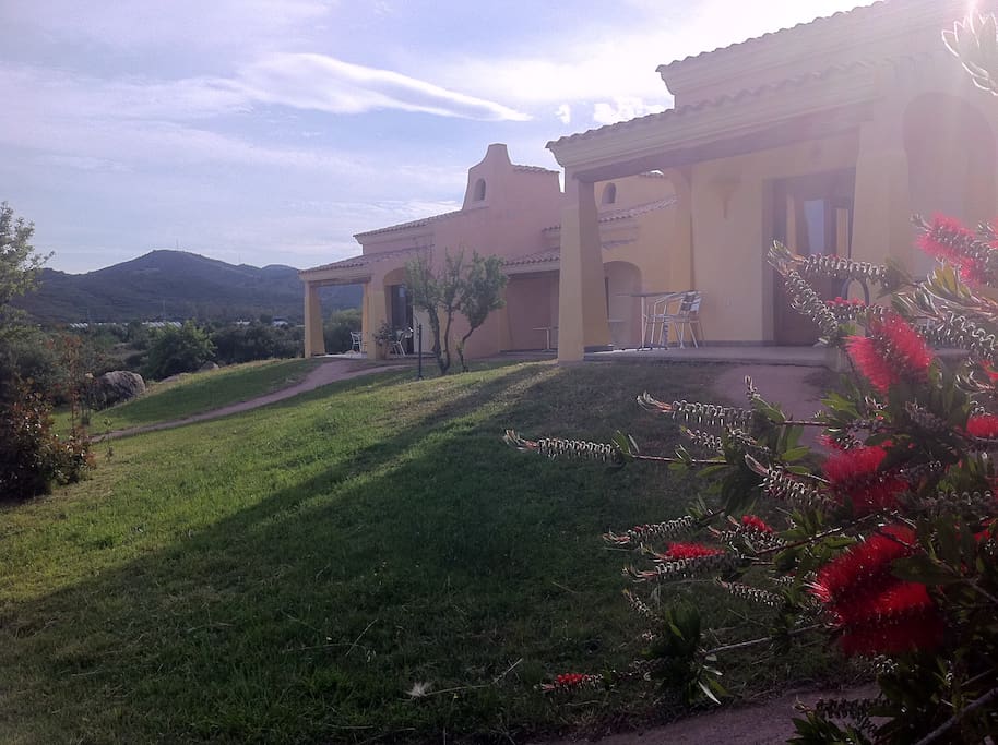 vista sul giardino