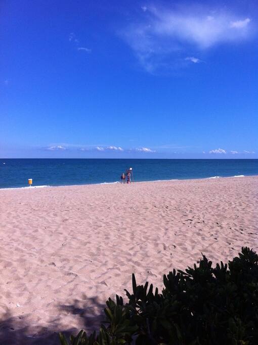 The beach