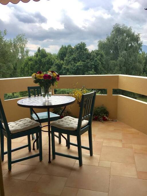 Terrasse de 10 m2 donnant sur un magnifique parc