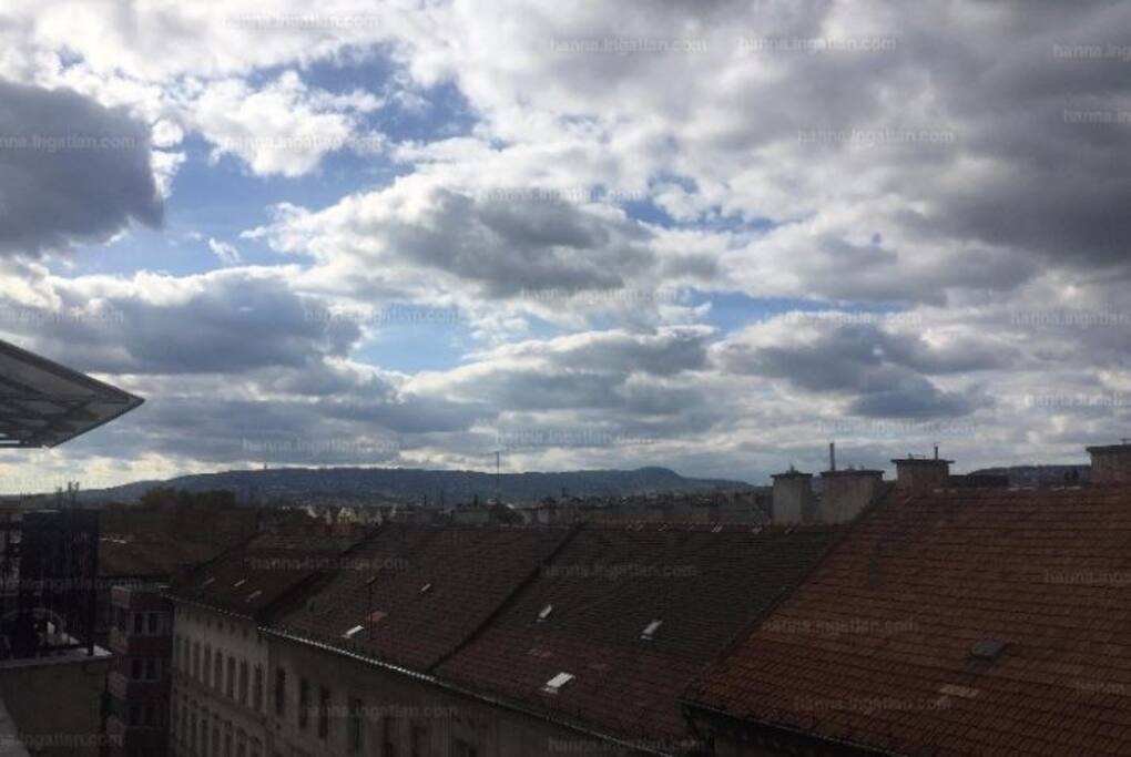View from living room