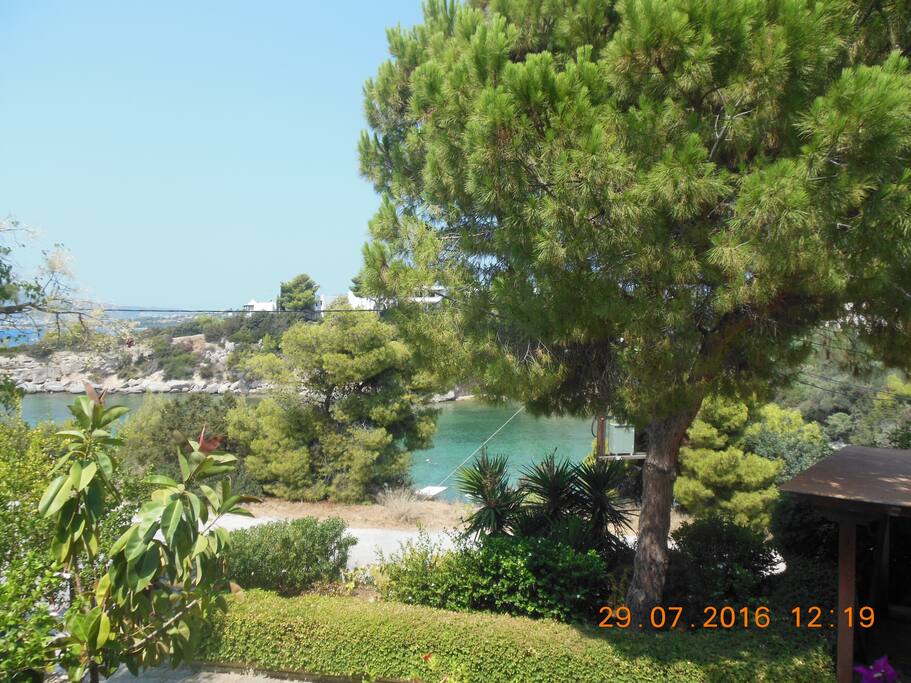 FRONT GARDEN AND BAY