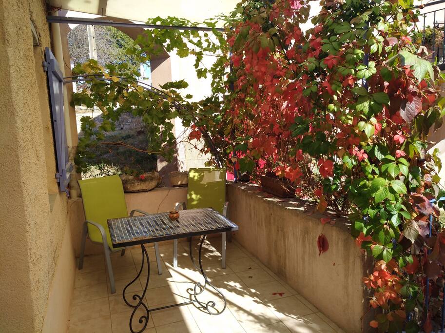 Terrasse RDC