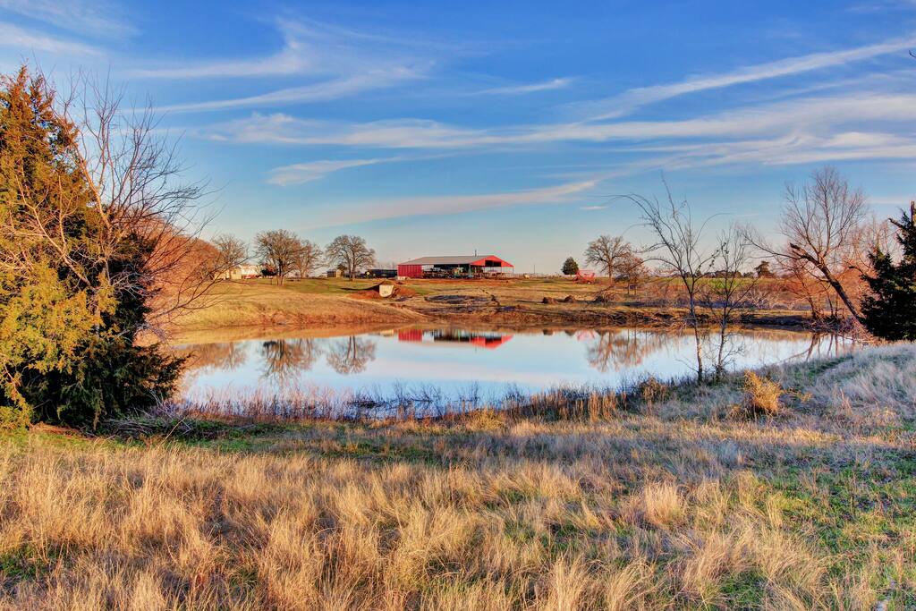 Pond close to cottages