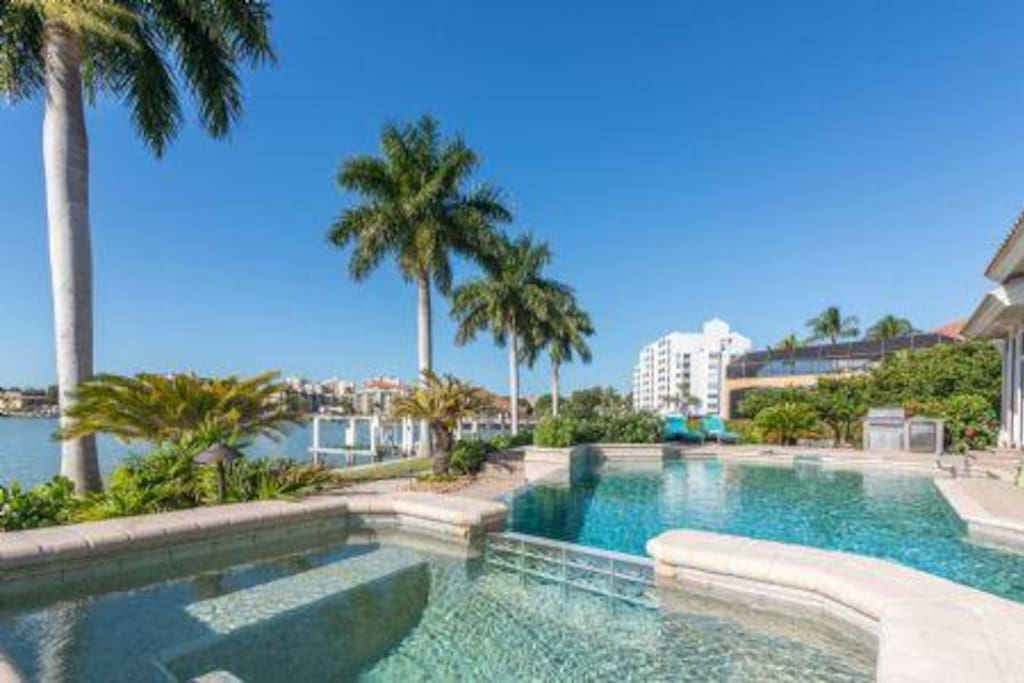 Sun Pool and Palms