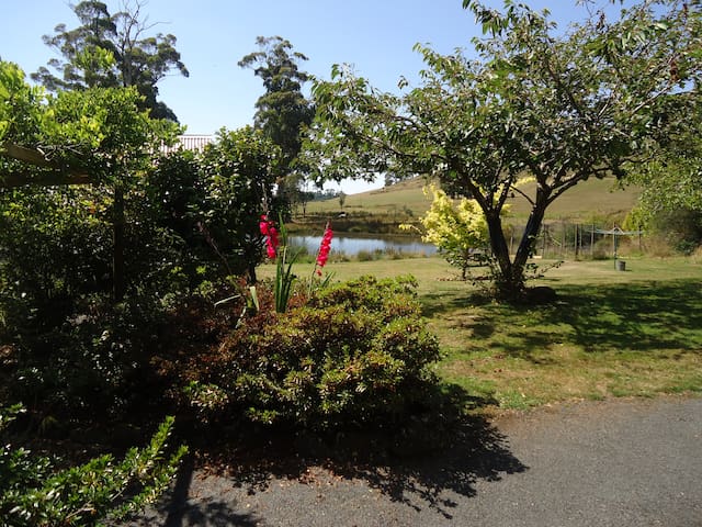 BURNIE - Willowvale Homestead - Your own paradise!