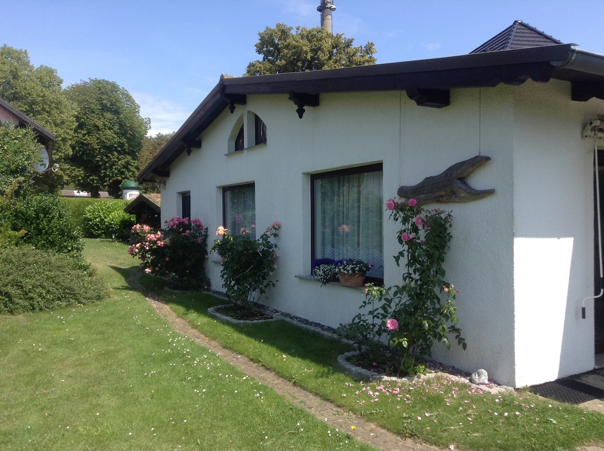 A charming exterior of a vacation house is presented, featuring a well-maintained garden with blooming rose bushes along a curved path. The house has large windows with light curtains and decorative elements, set against a backdrop of greenery and trees.