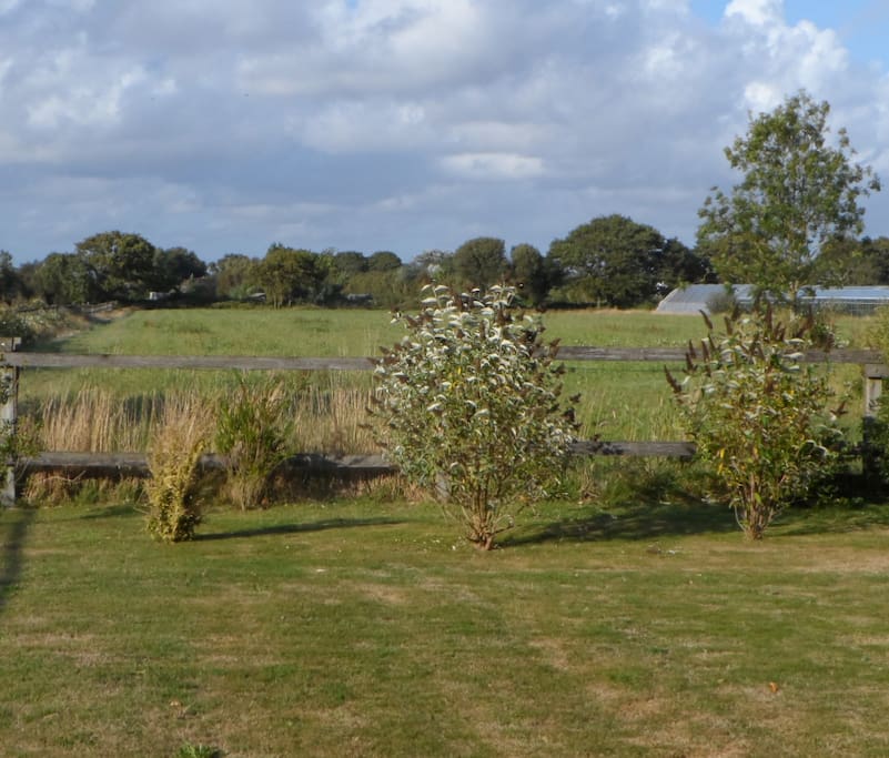 View from rear of cottage