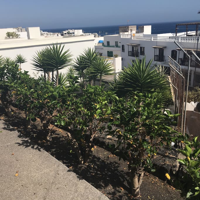 Apartment in residence Bellevue Aquarius Puerto Del Carmen Lanzarote