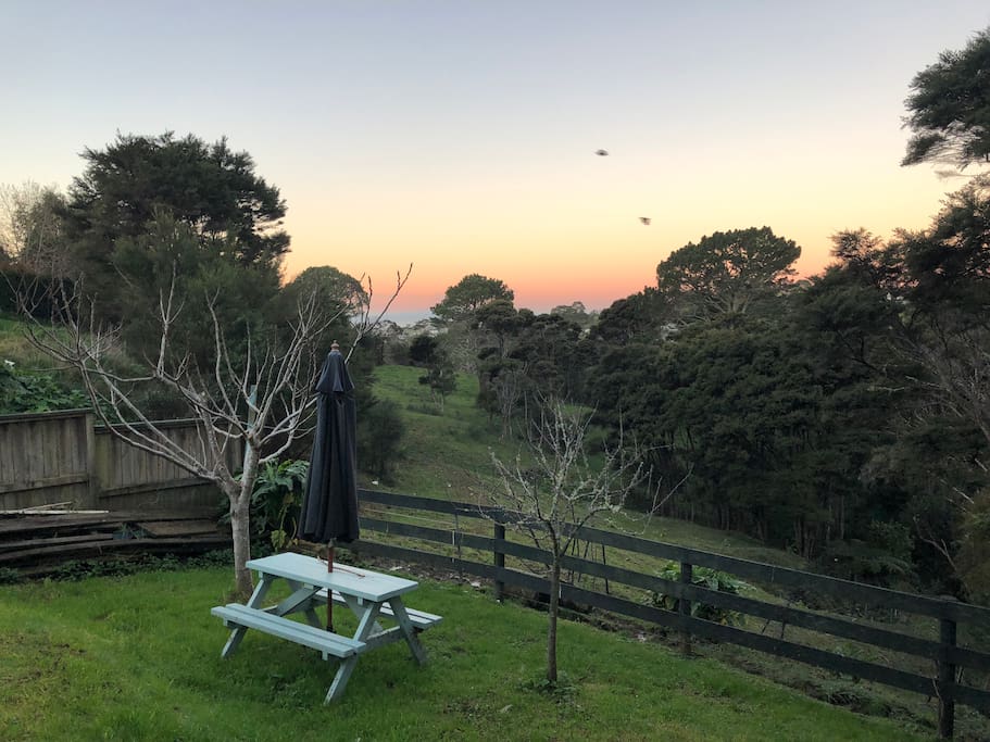 View from the kitchen