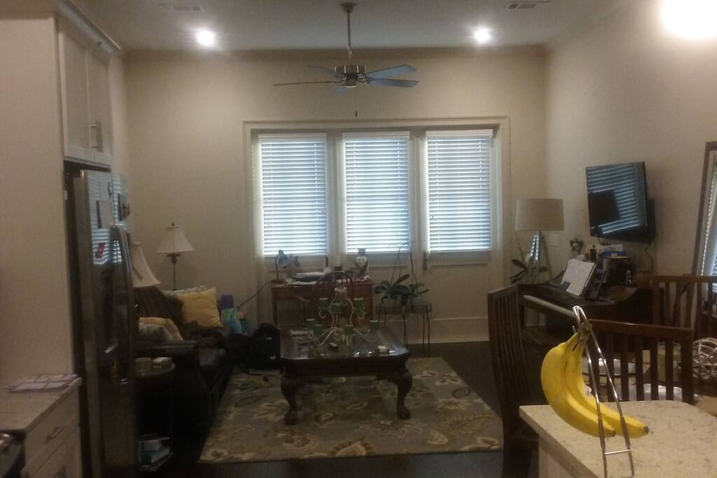 Living Room with QUEEN pull out couch.
