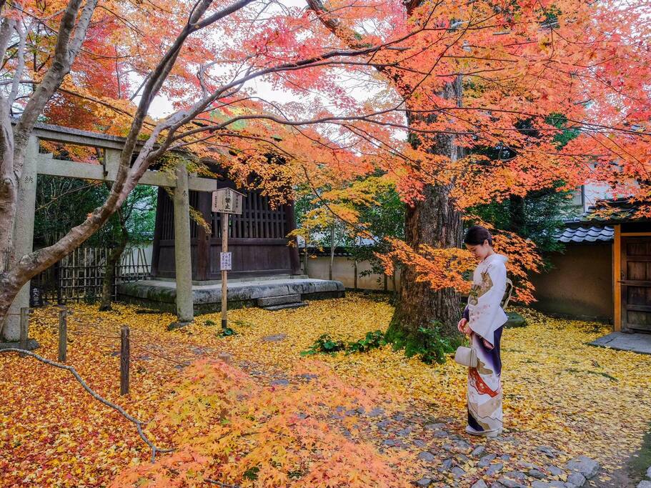 莲华寺 京都红叶季真正的穴场 京都旅游攻略 尽在airbnb爱彼迎