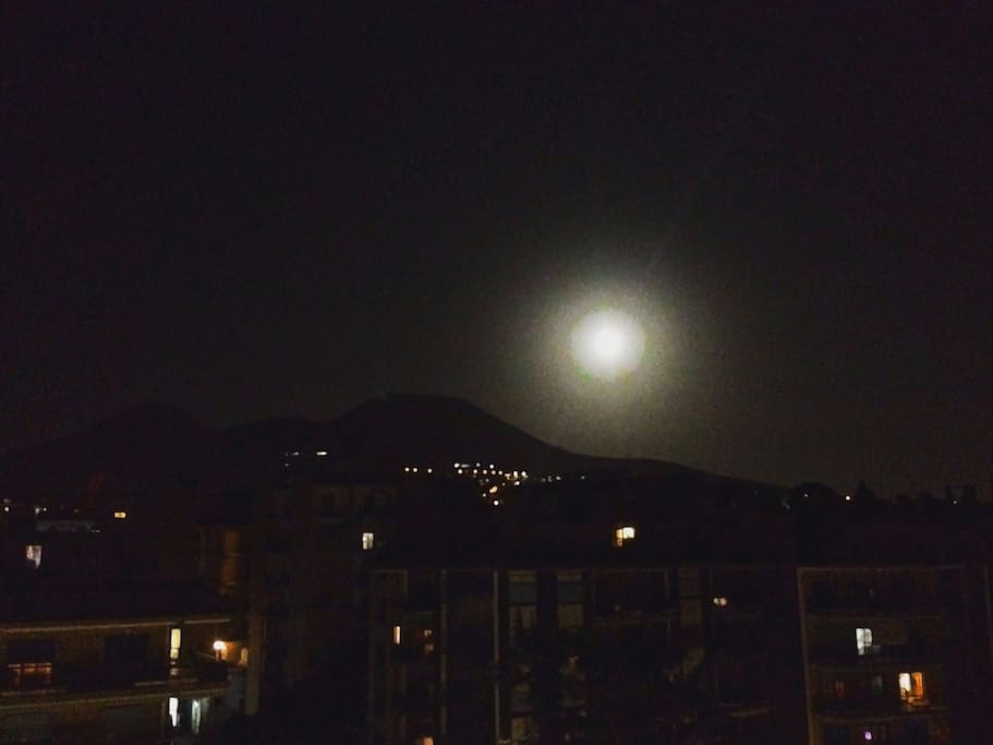 Moonlight!!