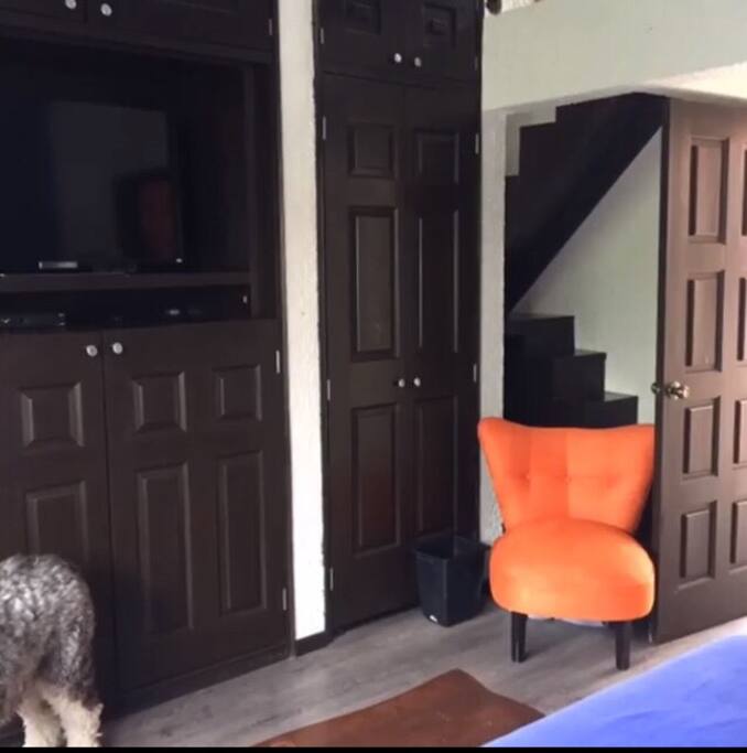 Pantalla con Sky y closet