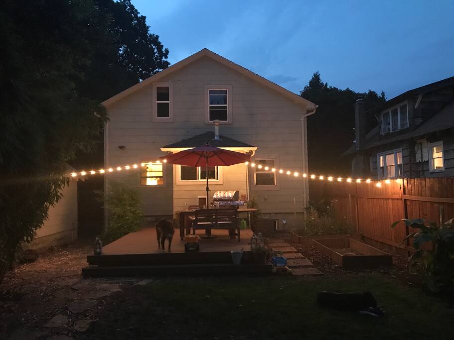 Backyard
