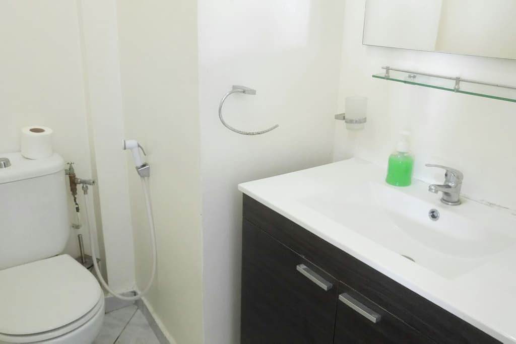 Bathroom with shower, toilet, washbasin / Salle de bain avec douche, WC, lavabo
