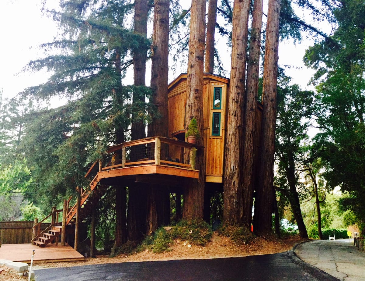 Image of treehouse rental in California