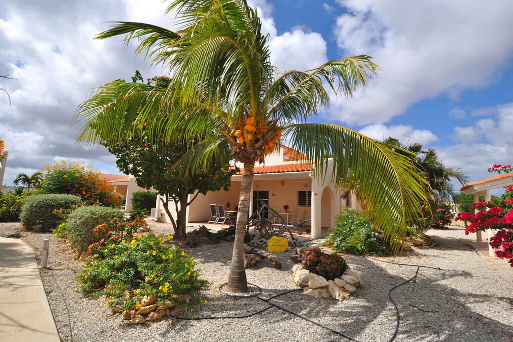 Hamlet Oasis Resort # 11