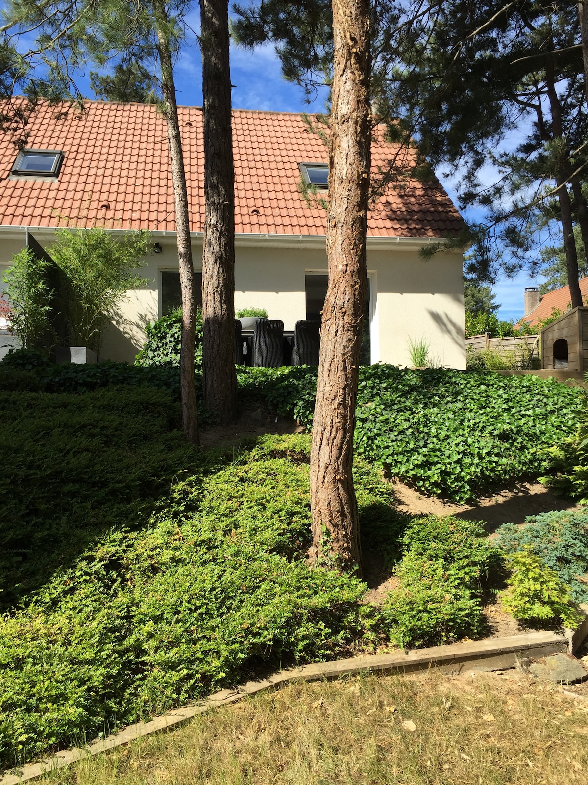 A well-maintained garden is featured, with lush greenery and mature trees providing a natural canopy. The exterior of the house, with a tiled roof, is partially visible among the foliage, while two black containers are discreetly positioned beside it.