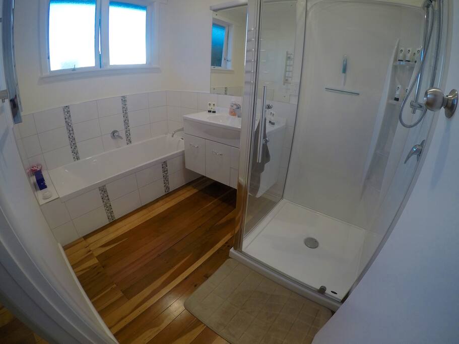 Guest bathroom