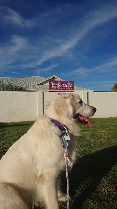 Happy guest