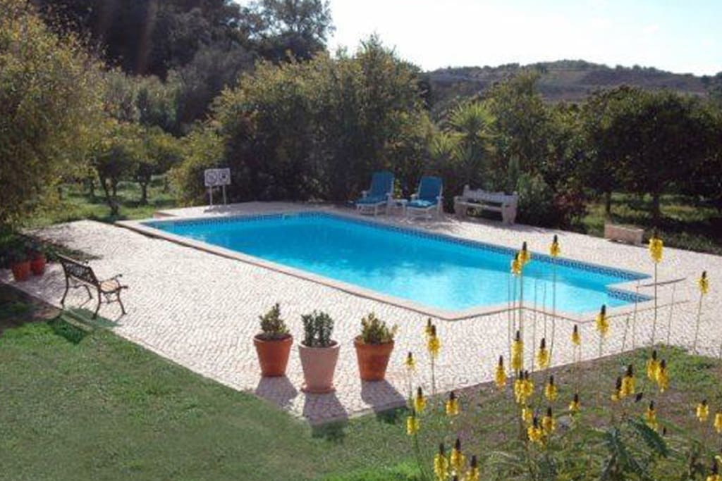 Pool which is situated on the farm across the road