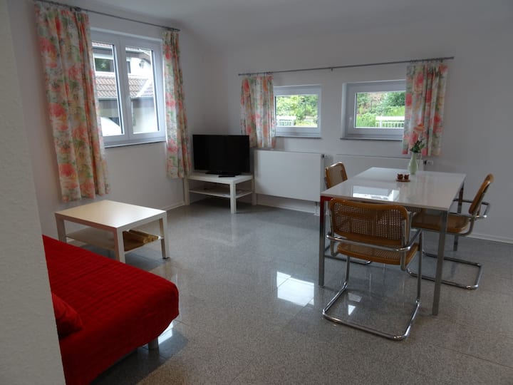 40 m2 Fewo Heidelberg Schlierbach Apartments for Rent in Heidelberg