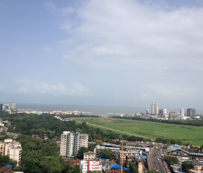 View from the Room