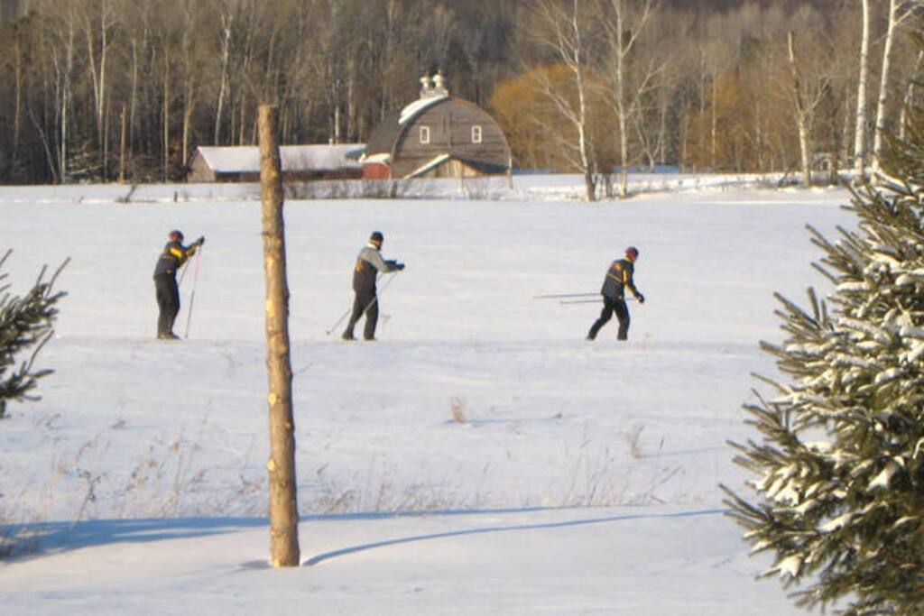 Warming up for the Birkiebiener in the big field.