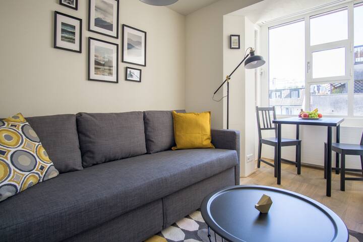 Dufour 3 - City Center Studio - WiFi