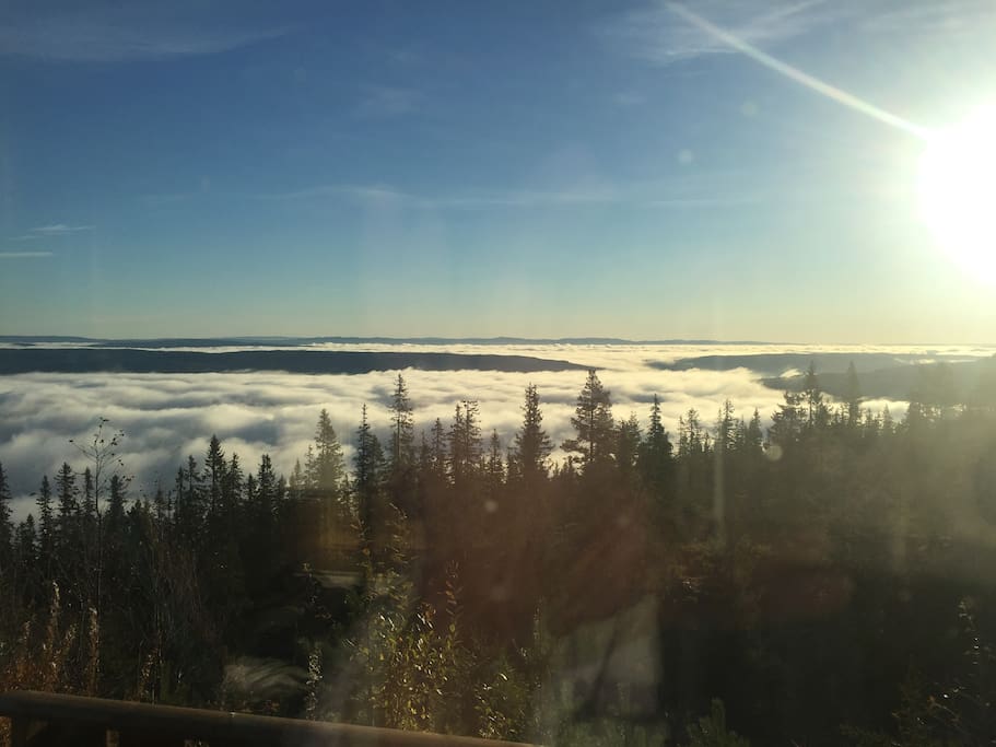 Utsikten fra stuen