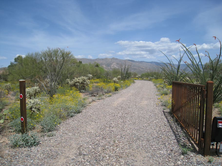 Entrance to the property with view of the Rincon Mountains