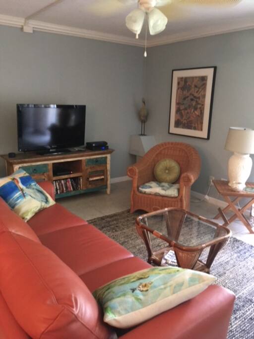 Living Room Area with new queen size sofa bed