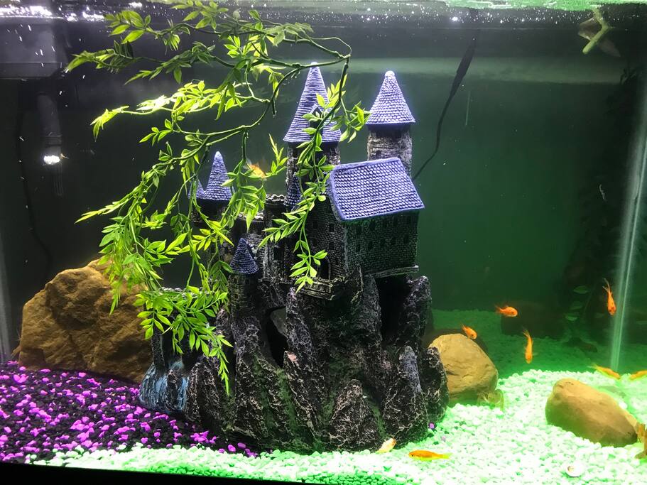 Your personal glowing mini-window into Atlantis...