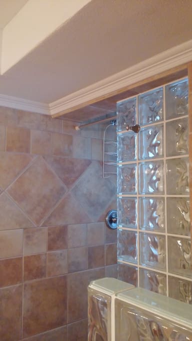 Glass wall shower