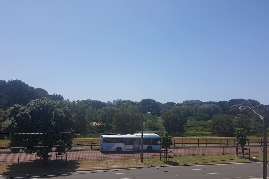 views to Centennial Park