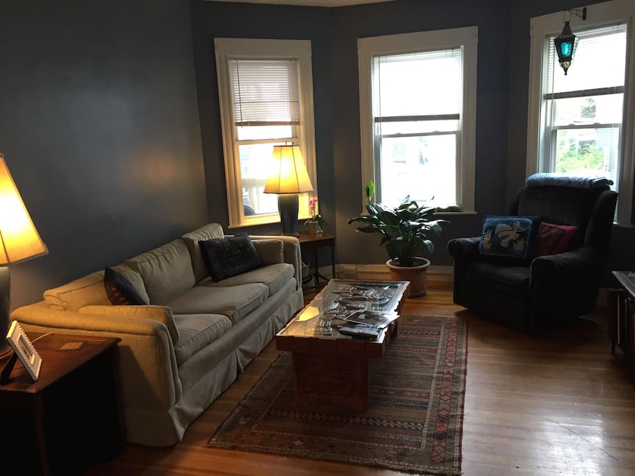 Comfortable living room.